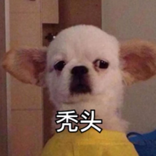 湫川表情包大全