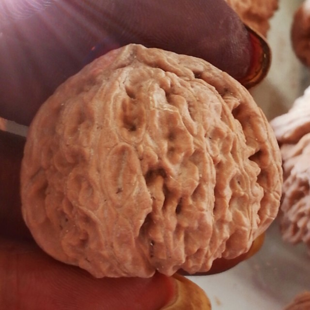 核桃部落—廊坊驿站