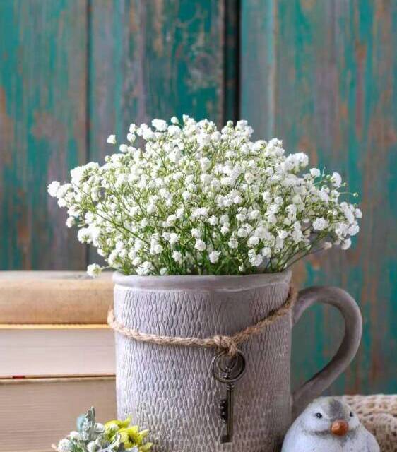 互联网市场营销合作群