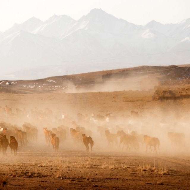 中国数独俱乐部