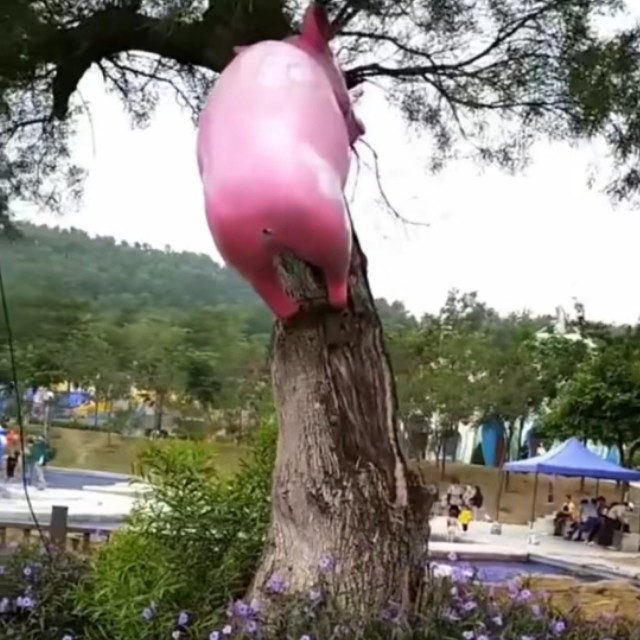 烟台单身交友群